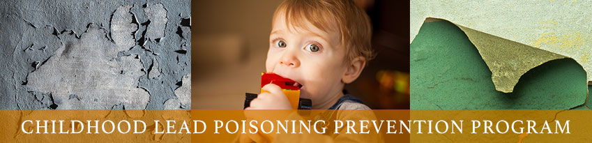 Lead Poisoning Prevention Program Banner