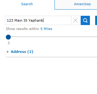 Search Locate Icon