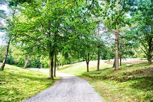 picture of a park