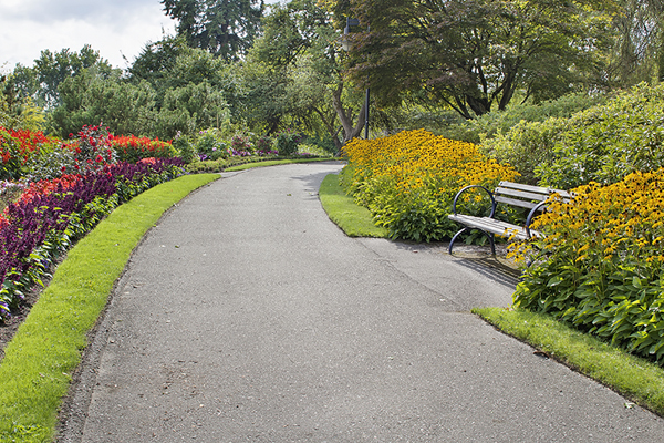 a park trail
