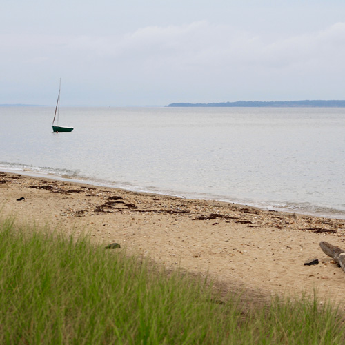 the beach of a bay