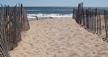 a beach