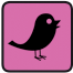bird watching icon