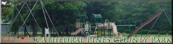 Picture of a children's playground area at Cathedral Pines County Park