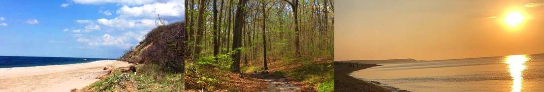 Cordwood Landing images