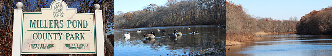 Millers Pond images