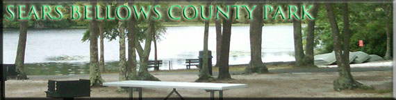 Picnic area by the lake at Sears Bellows County Park