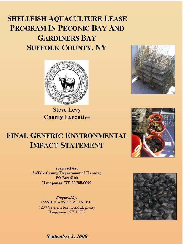 Final Generic Environmental Impact Statement cover