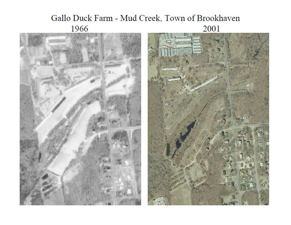 Aerial photos of Gallo Duck Farm, left image is from 1966, right image is from 2001