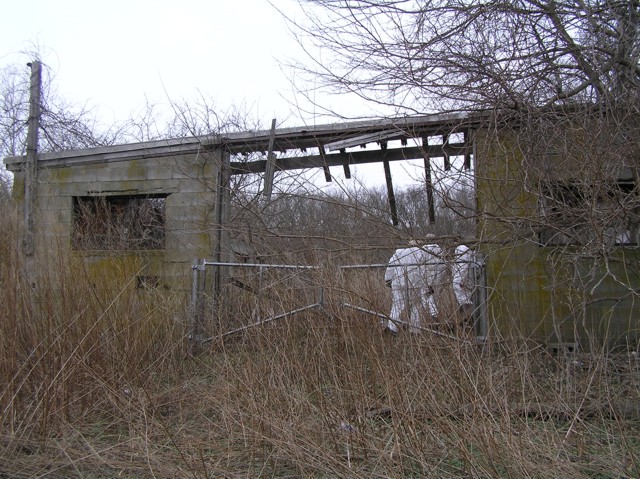 image 1 - abandoned house with 3 workers entering