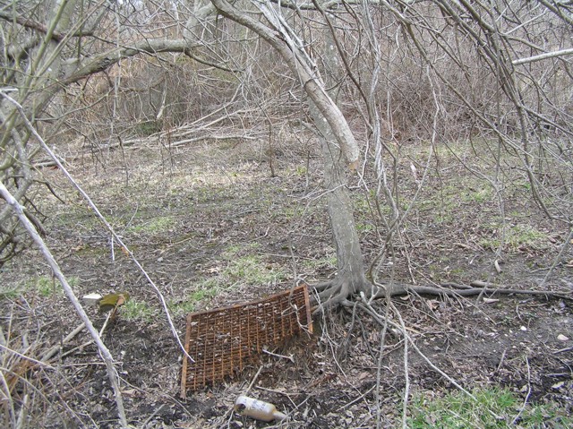 image 13 - a broken bottle and a broken metal screen on the forest floor