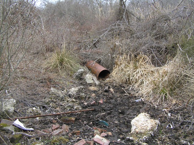 image 16 - an open metal drainage pipe on the forest floor