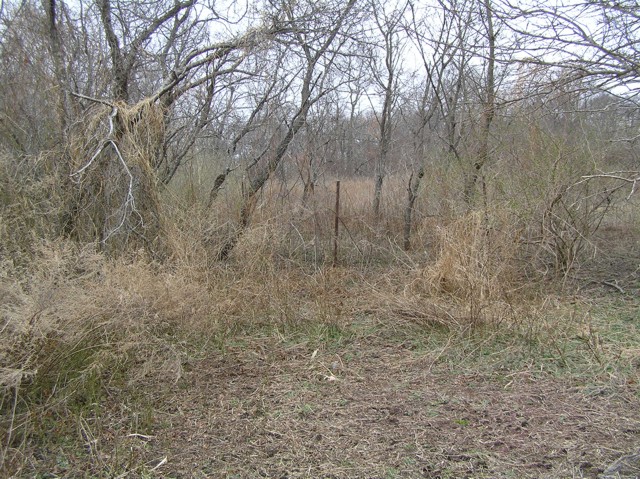 image 18 - metal fenceline stakes with high dried grass around it
