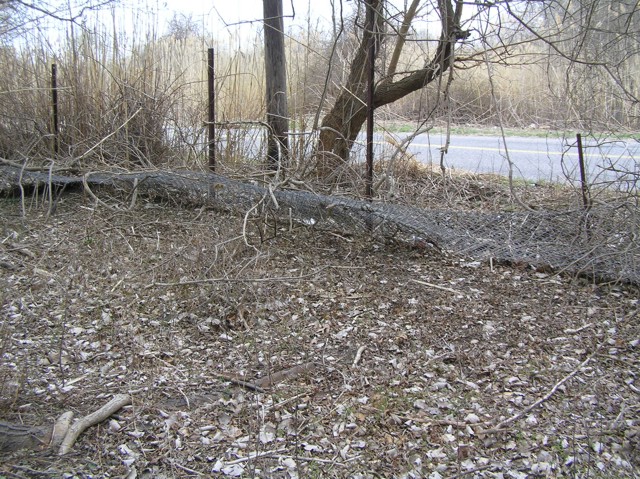 image 24 - downed fenceline at the edge of the forest and roadside
