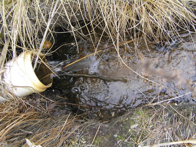 image 33 - a p.v.c pipe with water running out it in the forest
