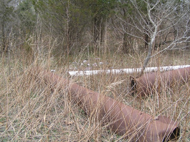 image 36a - large rusting metal pipes on the ground in a forest clearing, reeds and grass are grown over