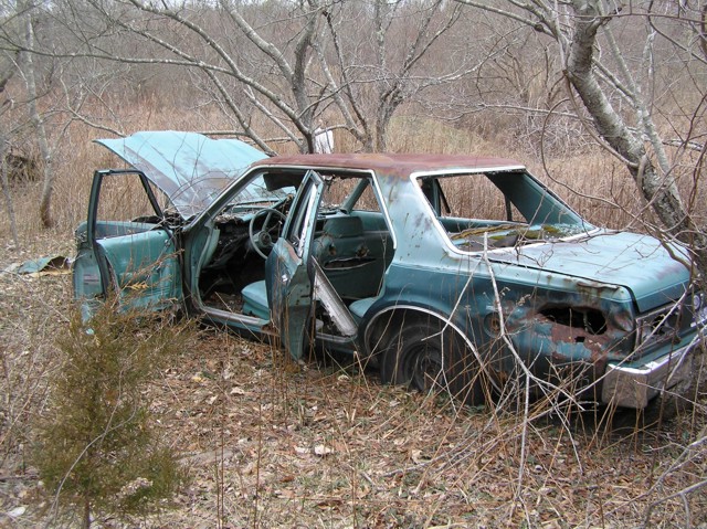 image 37 - an abandoned rusting stripped blue car from the 70's in a forst clearing