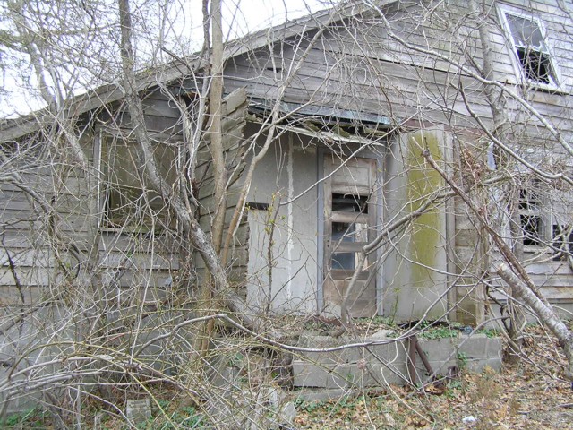 image 39 - an old abandoned house with broken windows and dead tress growning over it