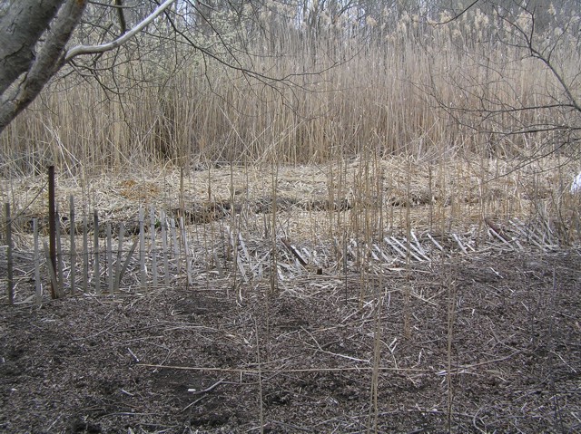 image 4 - an old wooden fence falling apart