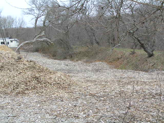 image 41 - a dirt path covered with dead leaves leads to an abandoned white building in the background