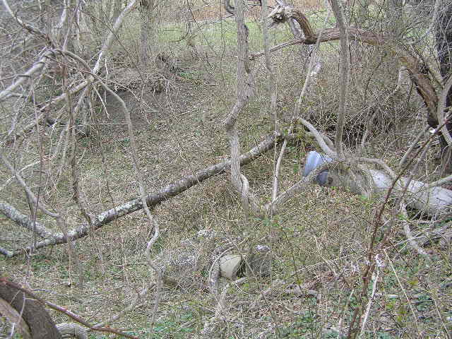 image 42a - a metal pipe stick up from the ground surrounded by dead trees and broken tree trunks
