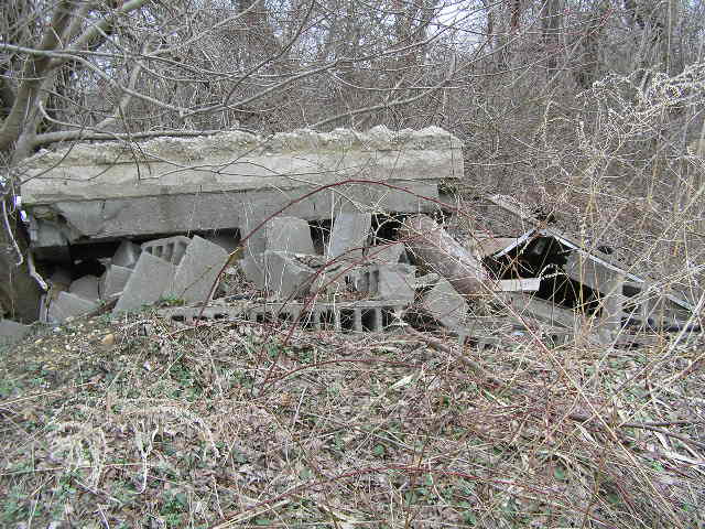 image 43a - piles of cinder blocks from an old wall in the woods, a concrete roof rests on top