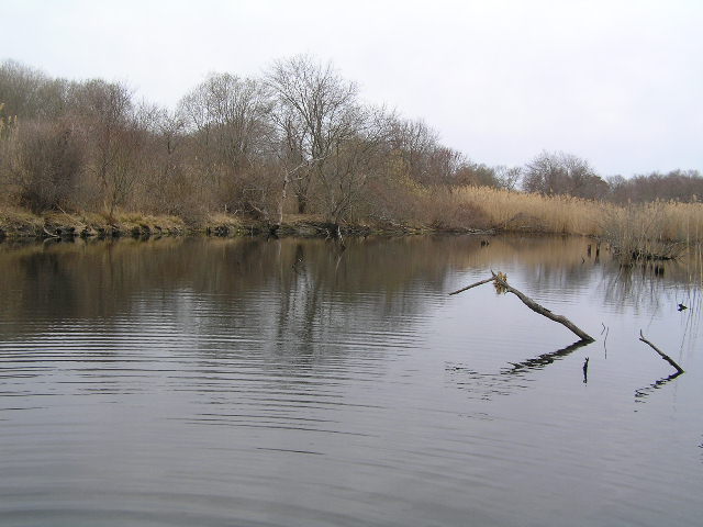 image 45b - a small lake with the coastline in the distance