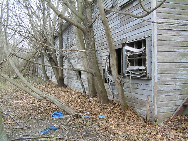 image 47a - an abandoned house, trees grow up against it. windows are broken and boards are rotted