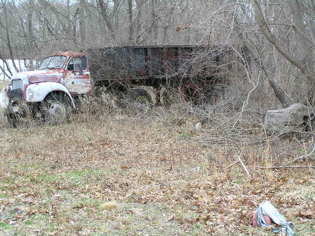 image 47c - an old dump truck sits in the woods