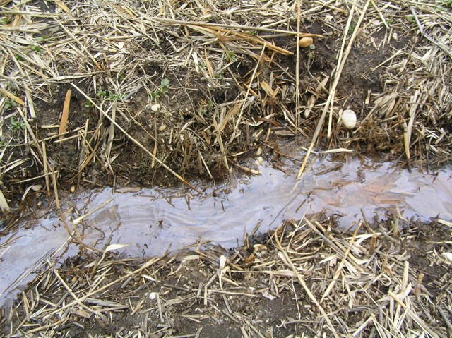 image 5 - a small stream of water cutting thorugh mud and straw