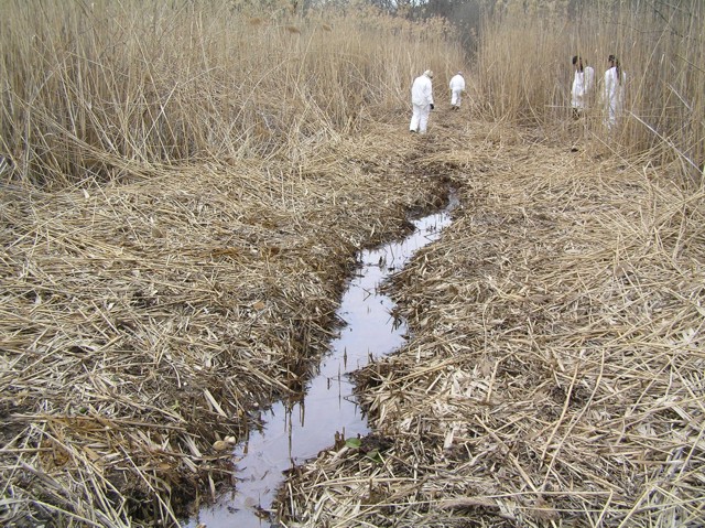 image 5 - a small stream of water cutting thorugh mud and straw with workers observing