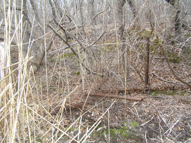 image 7 - a downed metal fence in the middle of the woods