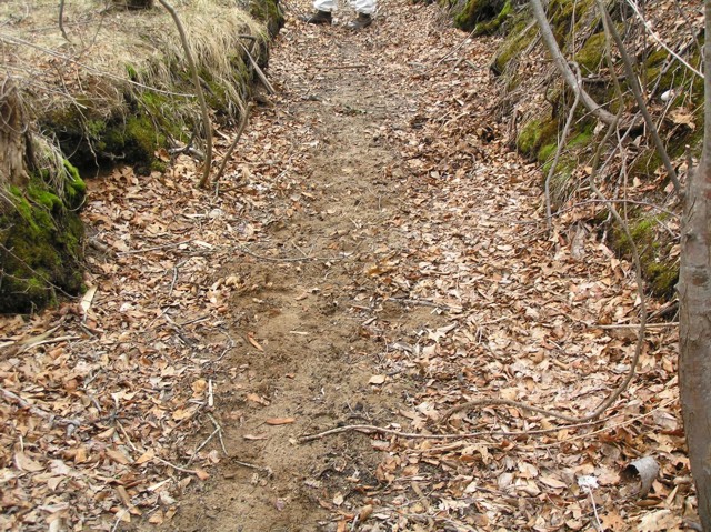 image 8 - a dirt path in the middle of the woods, a worker is a the end of the path