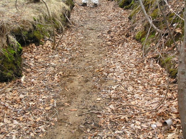 image 8 - a dirt path in the middle of the woods, a worker is a the end of the path