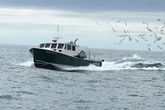 a motorized boat on the water with seagulls flying over it