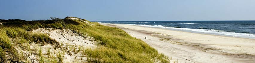 beach shoreline along Fire Island