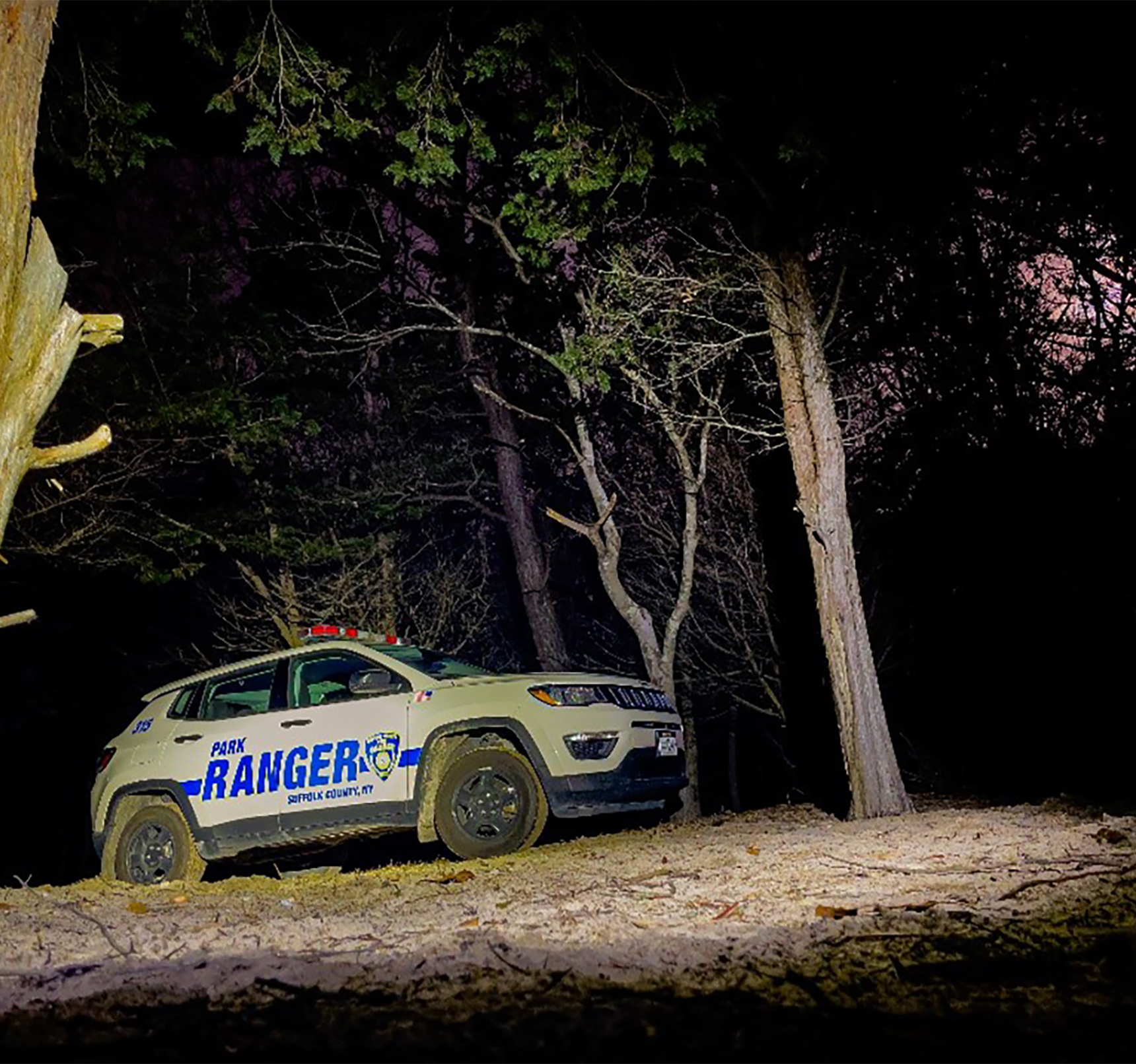 park ranger patrol car parked at night in the woods