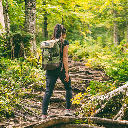 a person hiking through the woods