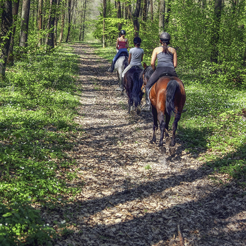 two people riding on separate horses