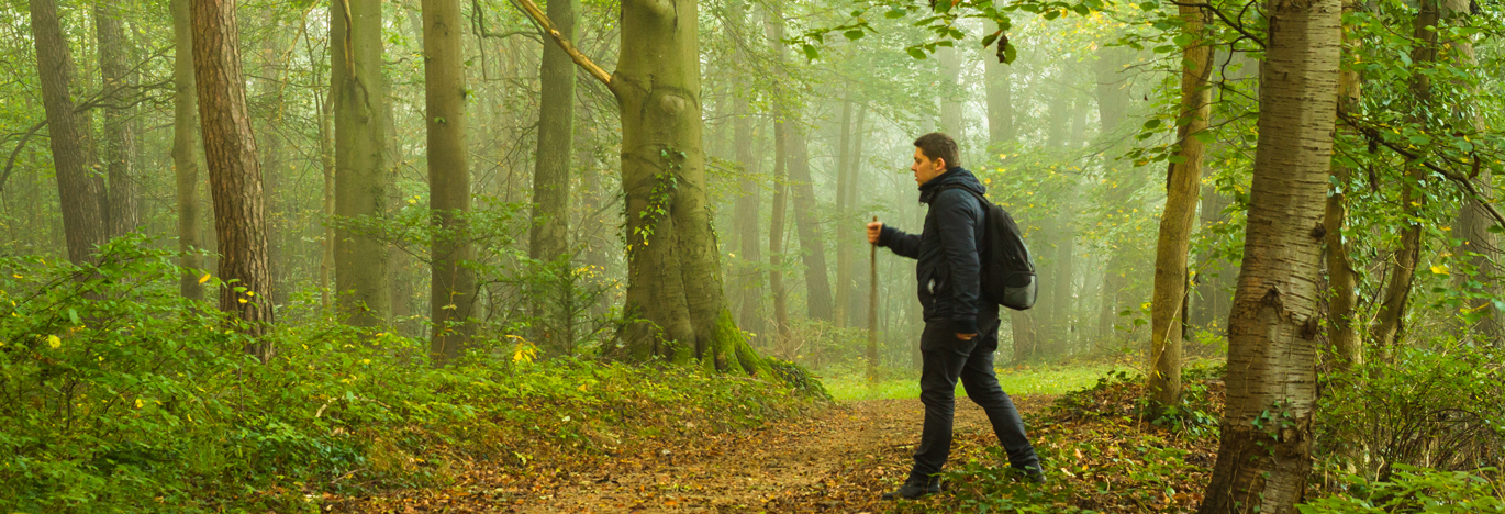 a man hiking in the woods