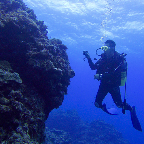 a person diving underwater in scuba gear