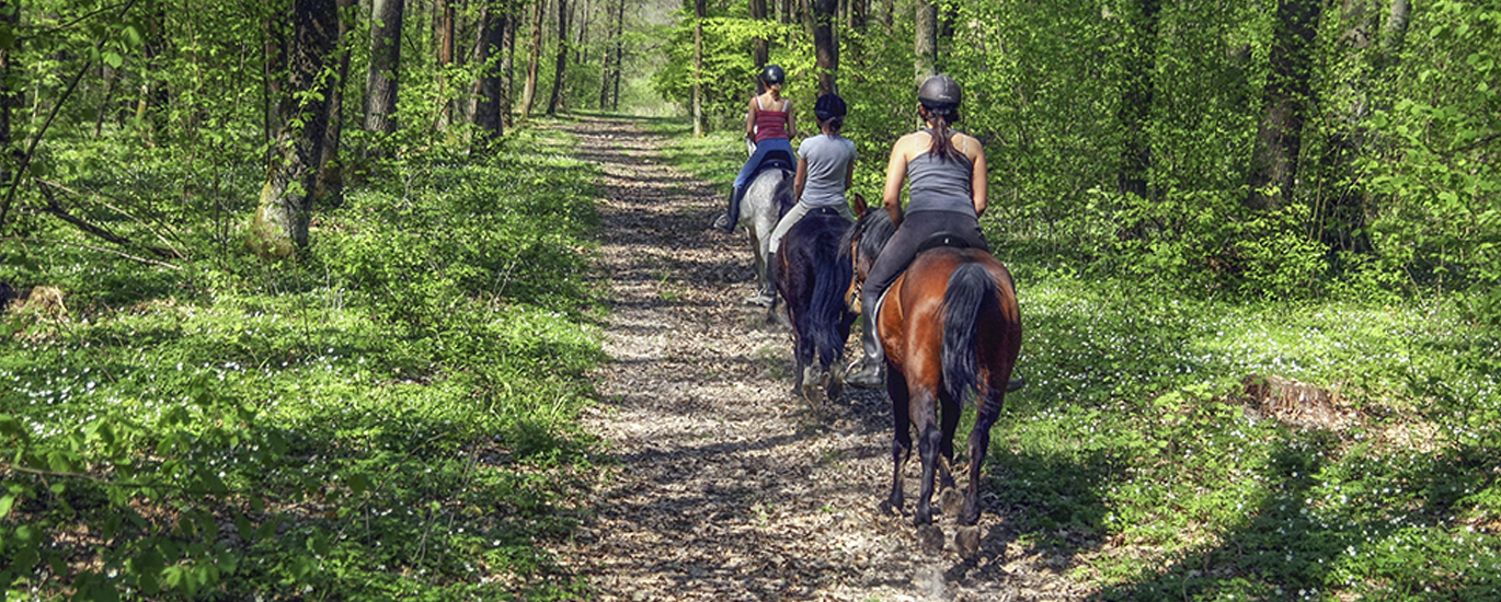 people riding horses