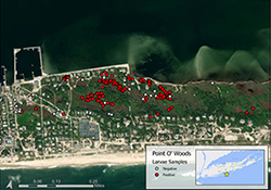 Point O’Woods Fire Island community