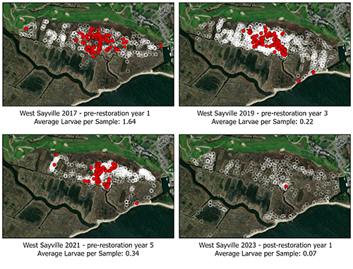 West Sayville larval mosquito data